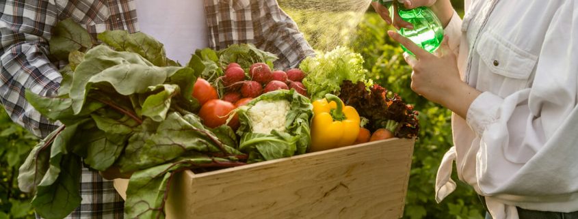 Un assortimento di prodotti biologici e plant-based in un mercato in crescita, con un focus su sostenibilità e benessere.